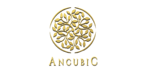 Ancubic Group
