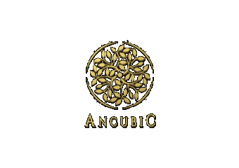 Ancubic Group
