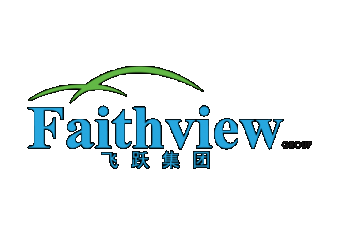 Faithview Group